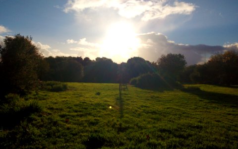 Green and Blue