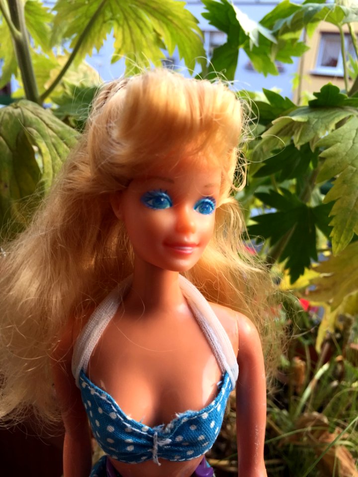 Barbie Playa California - Aurimat Mexico
