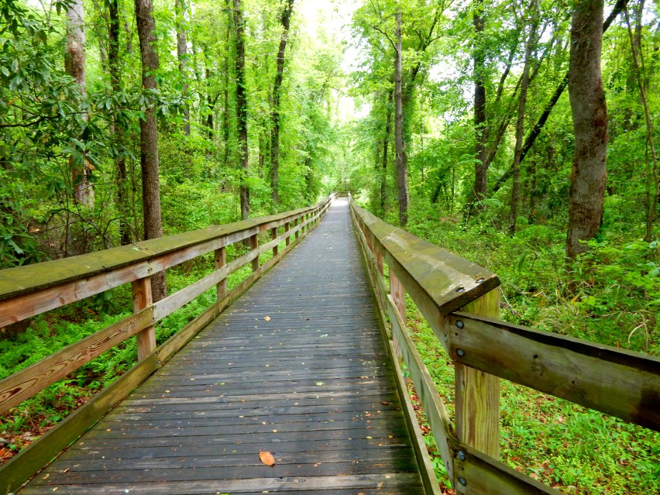 scene Clark Park +Cape Fear River Trail ncwetlands KG (3)