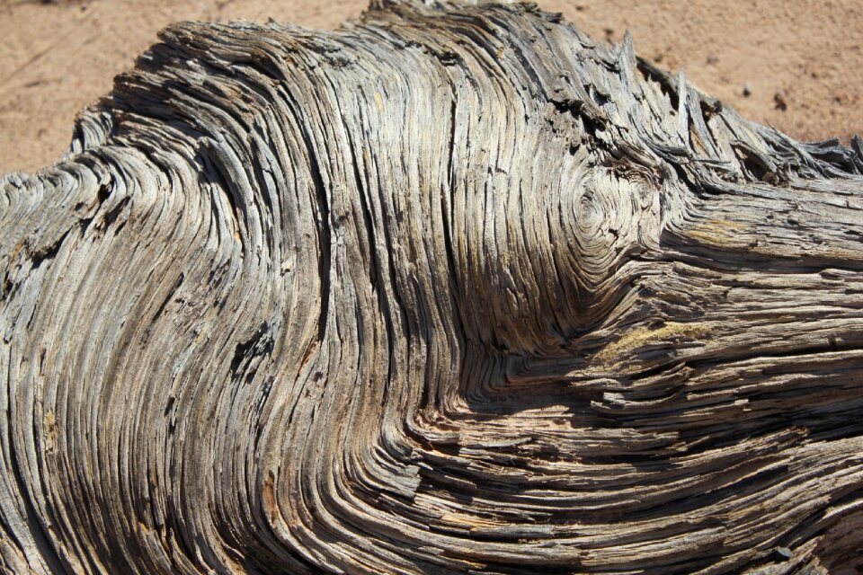 Texture swirl tree