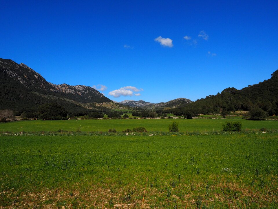 Mallorca orient of orient