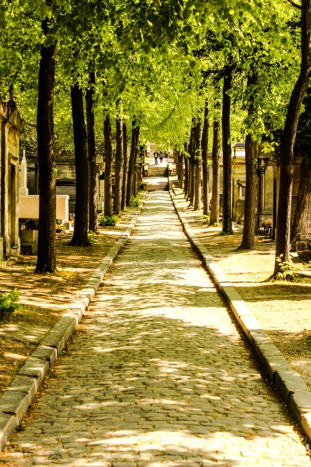 Sunlight cimetiere du pere lachaise grave