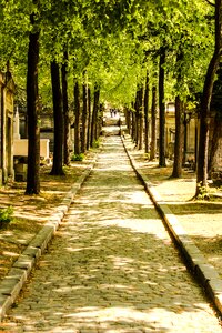 Sunlight cimetiere du pere lachaise grave