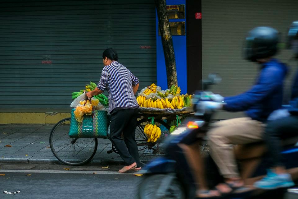 Mùa thu Hà Nội photo