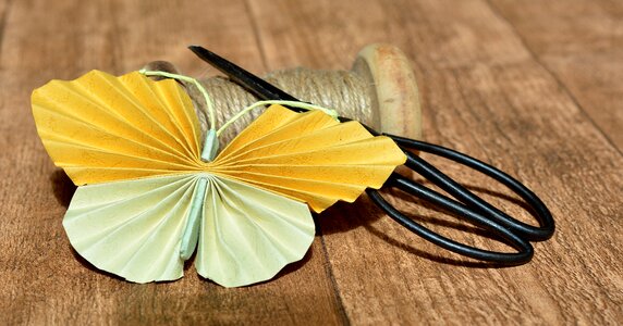 Butterfly paper butterfly scissors