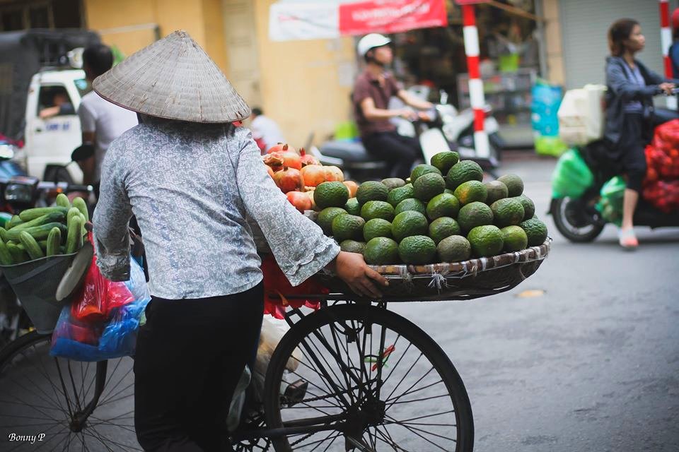 Mùa thu Hà Nội
