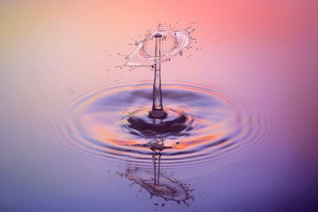 Water feature purple spray photo