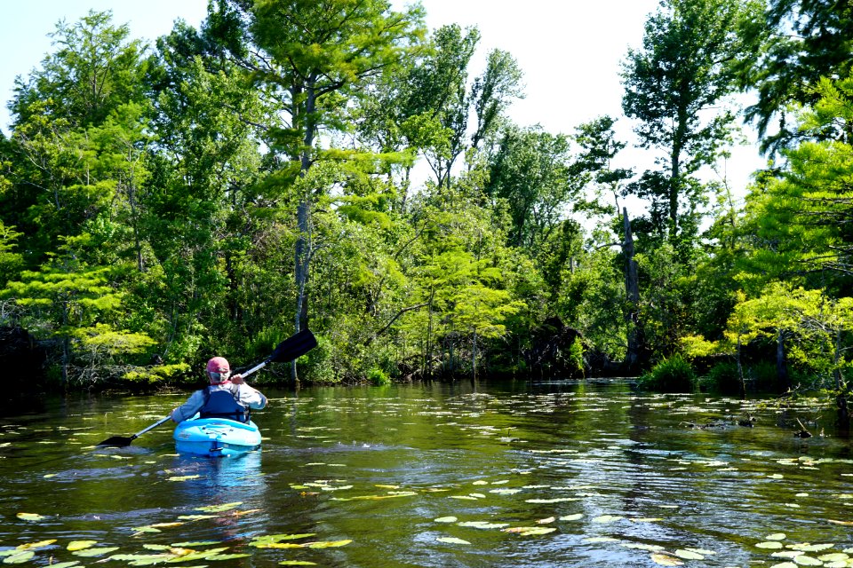 scene Great Lake croatan NF KG (70)