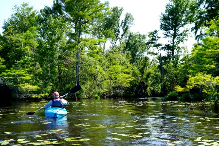 scene Great Lake croatan NF KG (70)