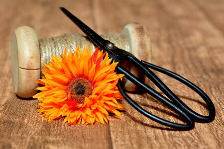 Coil wooden reel yarn