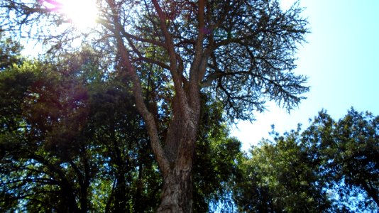 DSC05911