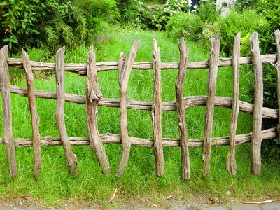 Meadow gnarled jägerzaun