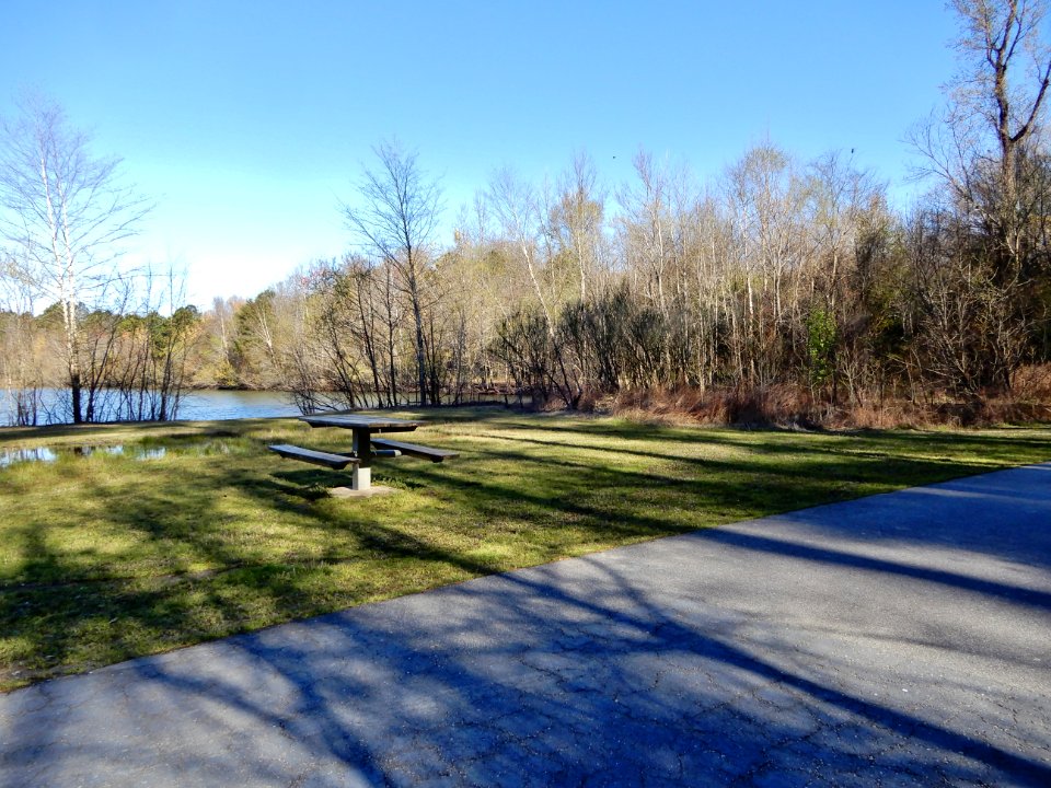scene Beech St Greenway ncwetlands KG (8)