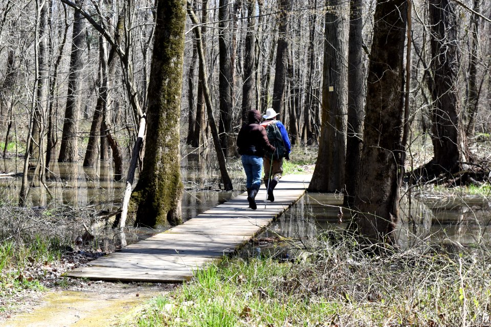 other activities river park north ncwetlands AM (3)