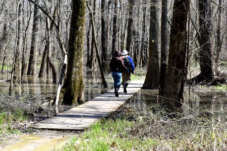 other activities river park north ncwetlands AM (3)