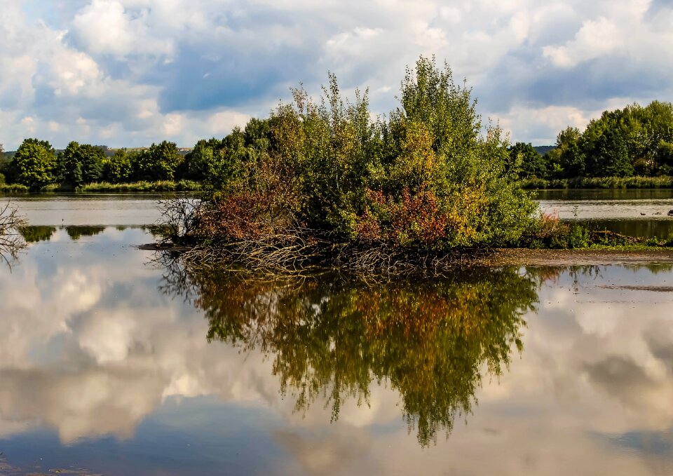 Pond water landscape