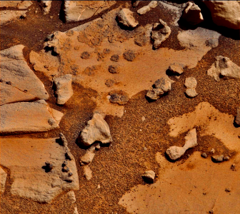 Fossilised Thrombolites found by NASA's Curiosity rover on Mars? photo