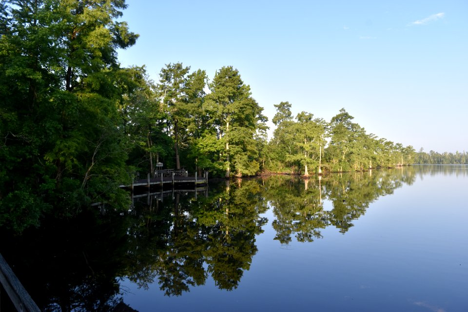 scene Scuppernong Interpretive Boardwalk ncwetlands am (9)