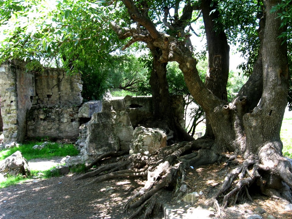 LA FERRERIA (43)