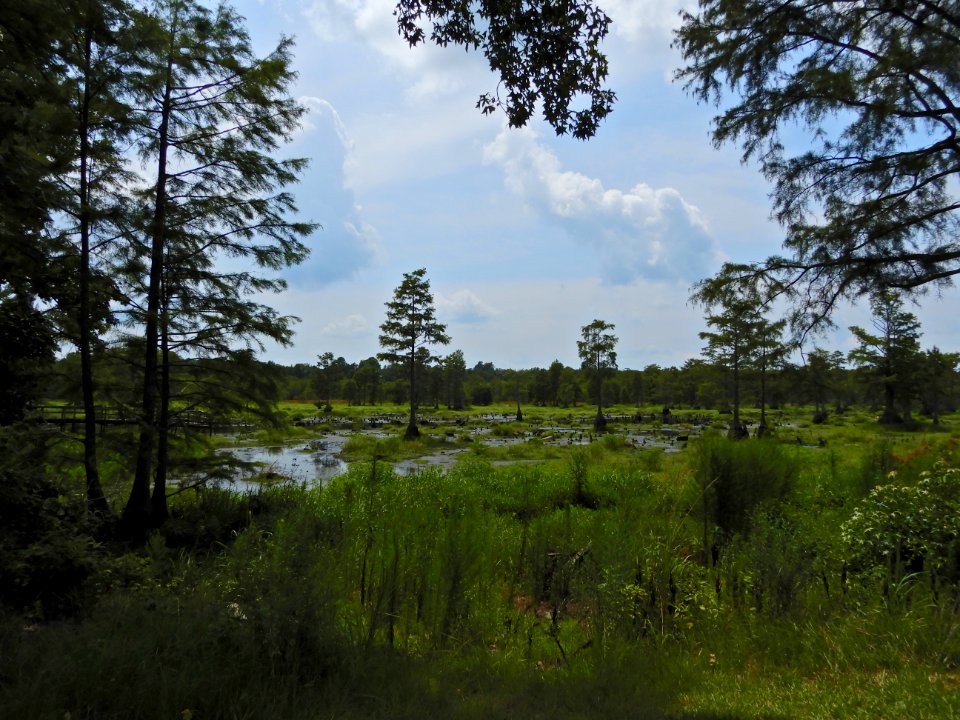 scene Hawkeye Indian Center ncwetlands KG (9)