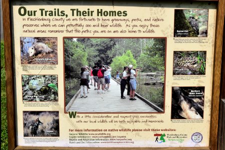 sign mcalpine creek park ncwetlands amm (1)