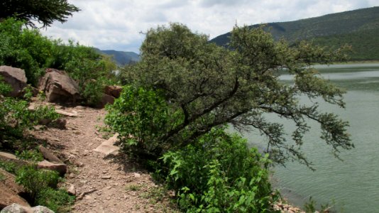 PRESA GPE. VICTORIA (29)