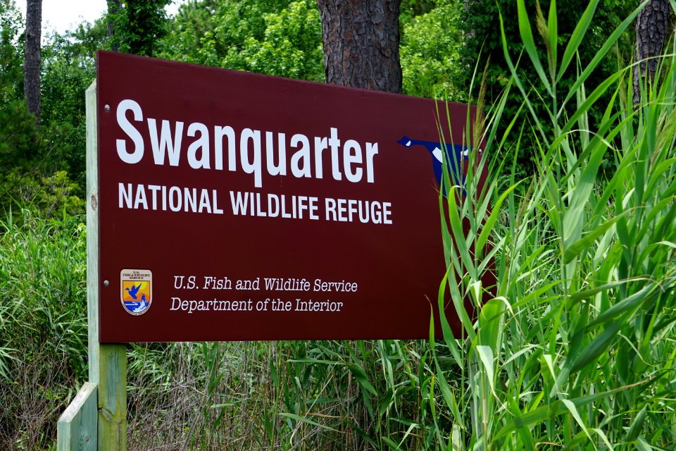 sign Swanquarter NWR ncwetlands KG (1)