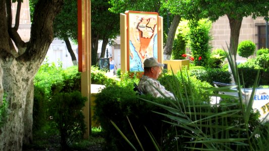 DURANGO  CALLES 2006 4   (42)