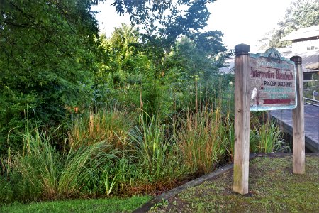 sign Scuppernong Interpretive Boardwalk ncwetlands am (3)