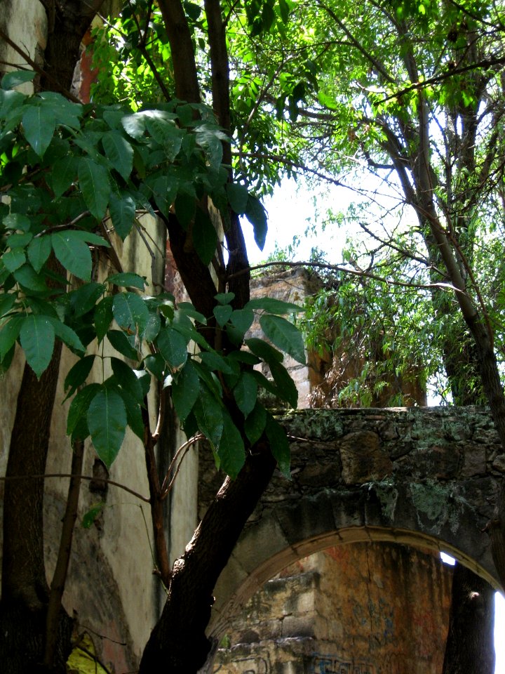 LA FERRERIA (71)