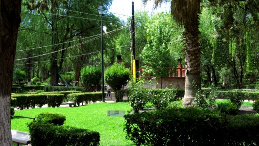 DURANGO  CALLES 2006 5   (56)