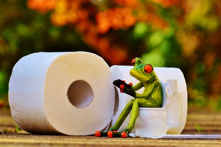 Session funny toilet paper