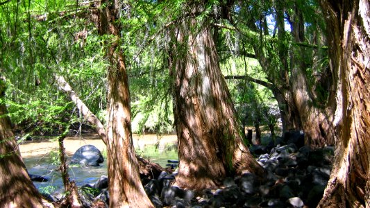 LA CONSTANCIA (2)