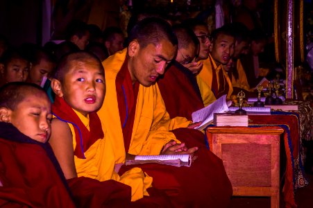 Buddha monks photo