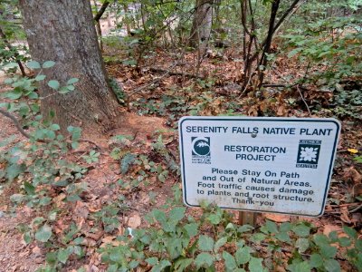 sign falls planting Bog Garden Kristie Gianopulos (10) photo