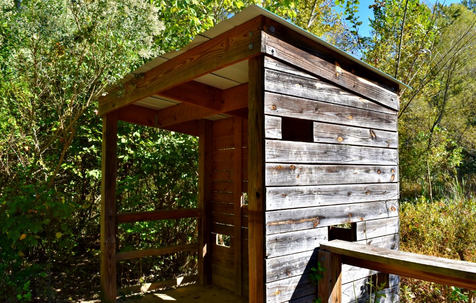 other - bird blind Duke SWAMP ncwetlands KG (2)