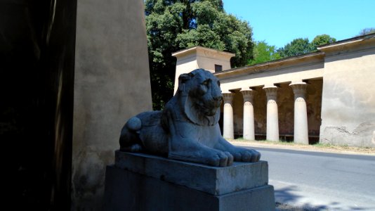 DSC05915