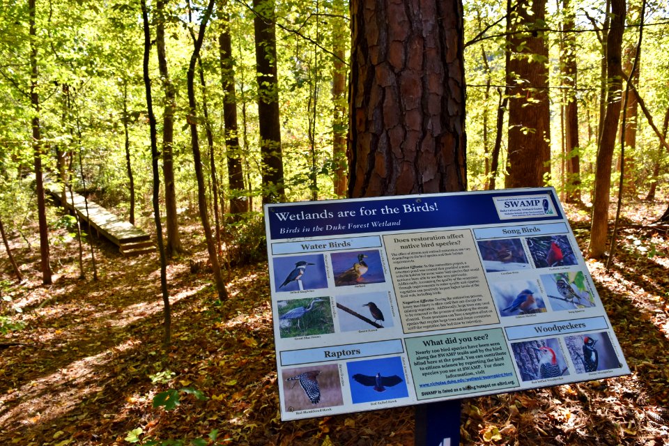 sign Duke SWAMP ncwetlands KG (4)