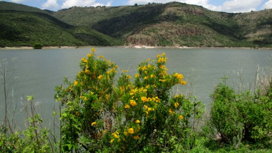 PRESA GPE. VICTORIA (36)