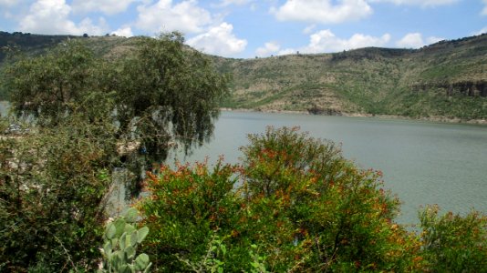 PRESA GPE. VICTORIA (17)