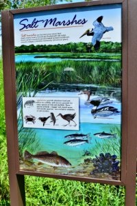 sign fort macon ncwetlands AM (20) photo