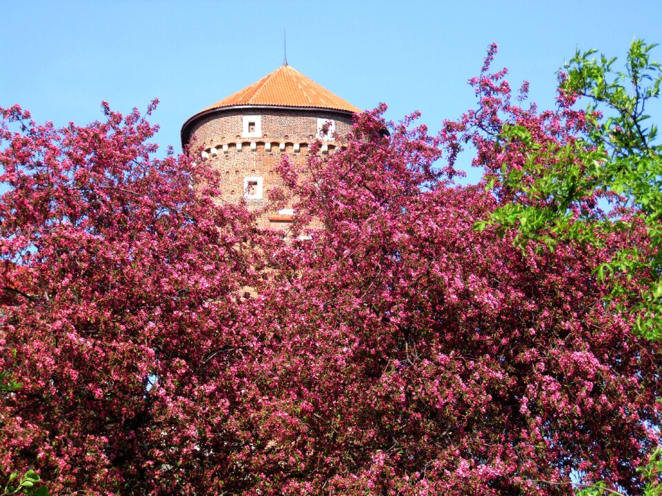 Poland castle monument
