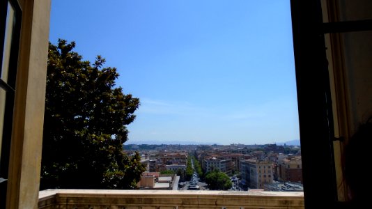 DSC06118
