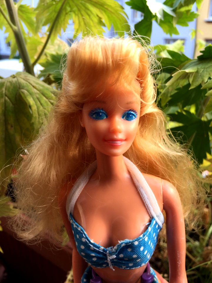 Barbie Playa California - Aurimat Mexico