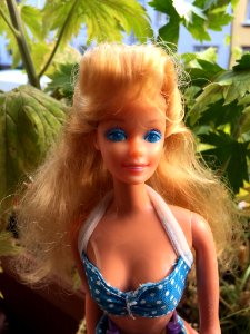 Barbie Playa California - Aurimat Mexico