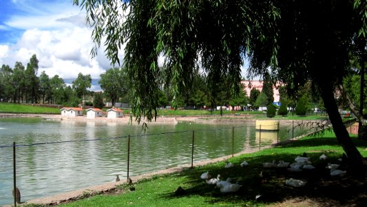 DURANGO  CALLES 2006 5   (50)