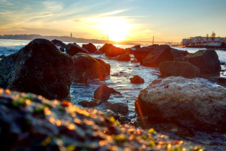 Rocks