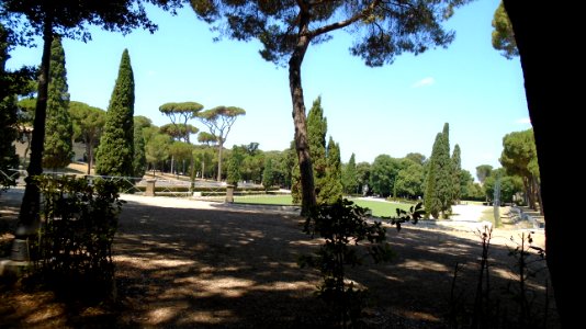 DSC05822