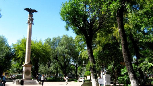 DURANGO  CALLES 2006 3  (56)