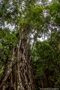 Fraser Island-24